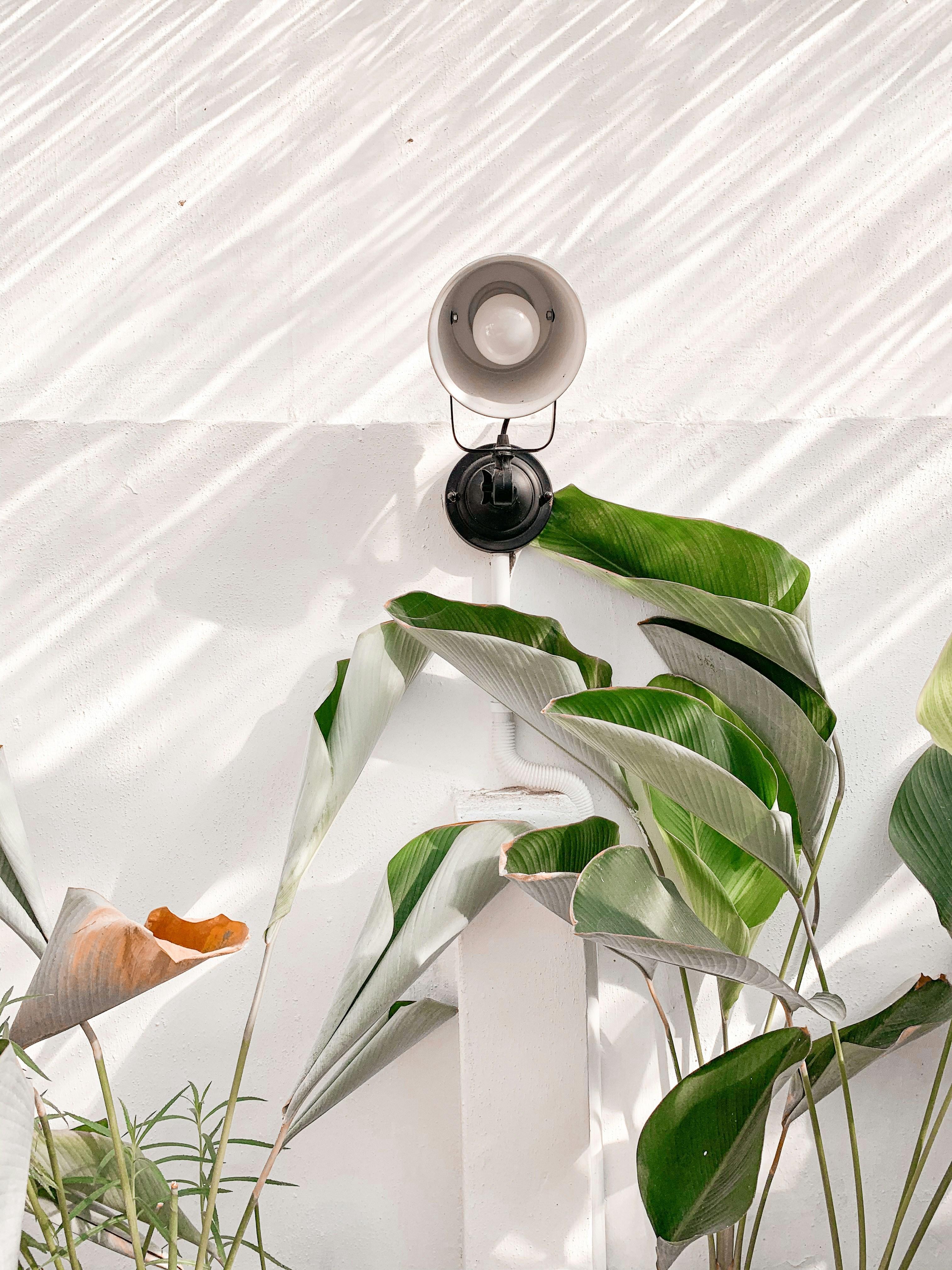 クラウドサーバーとグリーンエネルギーのイメージ